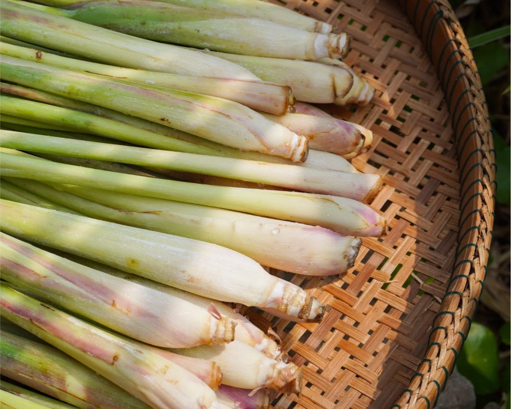 Dried Lemongrass